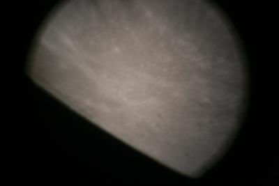 img_7339.jpg